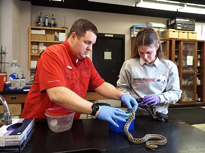 Student and professor working with snake in lab.